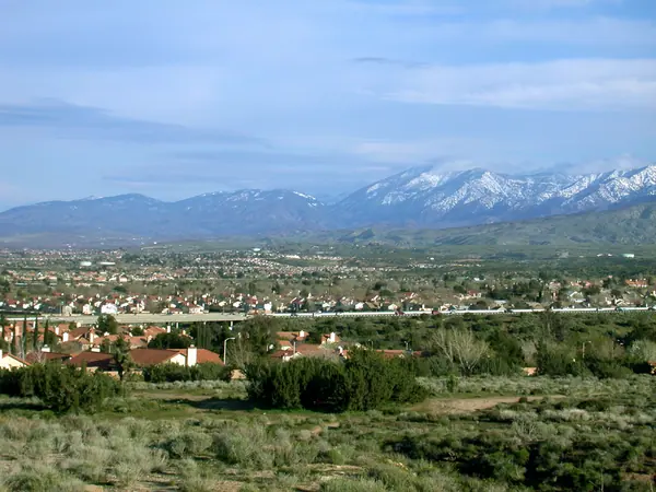 Palmdale, the city Element is in